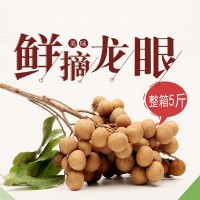 龙眼桂圆龙眼新鲜当季水果现摘发石硖储良广东高州整箱5斤批发