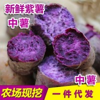 新鲜紫薯越南的种源现挖农家番薯地瓜紫芋头5斤10斤批发