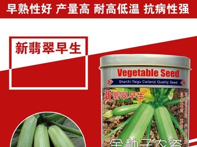 西葫芦种子西葫芦籽蔬菜种子批发菜种菜籽菜种子公司四季播种图1