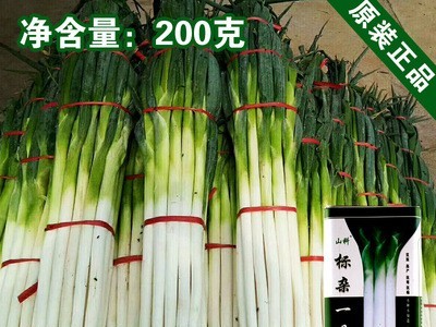 大葱种子大葱籽蔬菜种子批发菜种菜籽种子公司四季播种图1