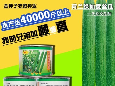 丝瓜种子丝瓜籽丝瓜种籽蔬菜种子批发菜种菜籽菜种子公司四季播种图1