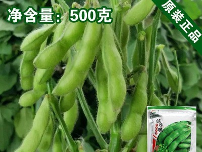 毛豆种子毛豆籽青黄豆种子蔬菜种子批发菜种菜籽种子公司图1