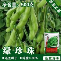 毛豆种子毛豆籽青黄豆种子蔬菜种子批发菜种菜籽种子公司