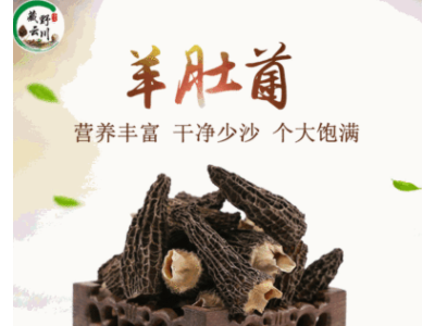 羊肚菌食品干货云南特产野生食用野生菌羊肚菌干货酒店现货批发图1
