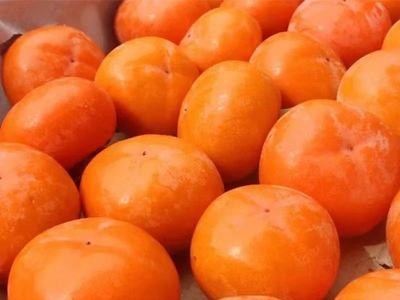 【爆甜】现摘陕西软柿子应季新鲜孕妇水果4斤装火晶柿子整箱批发图1