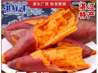 广东湛江特产 红薯新鲜沙地黄心红薯地瓜软糯香甜蜜薯3/5/9斤批发图1