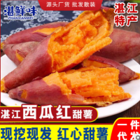广东湛江特产 红薯新鲜沙地黄心红薯地瓜软糯香甜蜜薯3/5/9斤批发