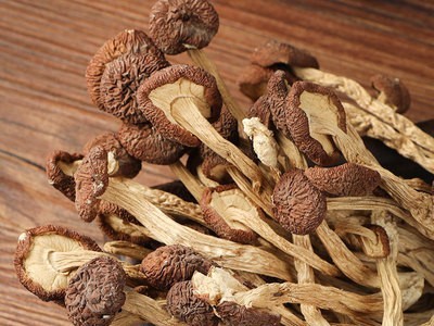 食用菌南北茶树菇 江西广昌5号茶树菇产地批发图4