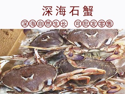 海鲜批发螃蟹鲜活速冻石蟹整盒发货新鲜生鲜个肥招财蟹发量大从图2