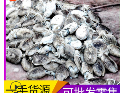 海鲜批发冷冻墨鱼肉厚实好吃新鲜生鲜大乌贼饭店酒店量大从优现货图3