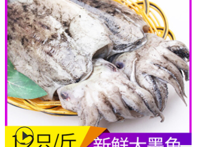 海鲜批发冷冻墨鱼肉厚实好吃新鲜生鲜大乌贼饭店酒店量大从优现货图2