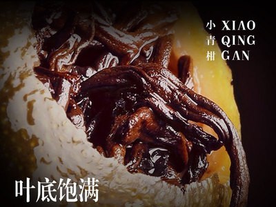 小青柑500g柑普茶普洱熟茶茶叶云南普洱茶叶木桶装礼盒装厂家批发图4