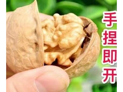 新货新疆阿克苏185纸皮核桃批发坚果炒货图5
