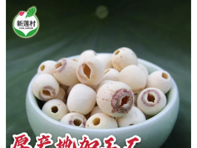 2021年新货上市 湖南特产寸三白莲子 去芯磨皮白莲子 湘莲子500克图4
