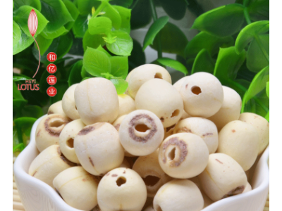 大颗粒去芯磨皮白莲湘潭莲子干货无心寸三莲500g一件代发图5
