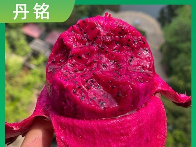 红心火龙果金都一号广西应季新鲜水果一件代发4.5-5斤红肉火龙果图1