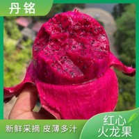 红心火龙果金都一号广西应季新鲜水果一件代发4.5-5斤红肉火龙果