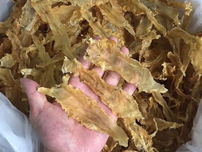 工厂货源供应厚肉鳕鱼胶 海味干货鱼肚鱼鳔诚招代理图4