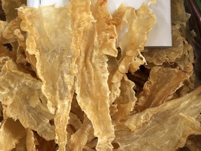 工厂货源供应厚肉鳕鱼胶 海味干货鱼肚鱼鳔诚招代理图1