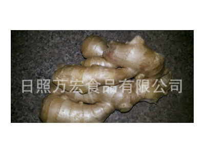 生产工厂供应出口生姜，风干姜，保鲜姜。图3
