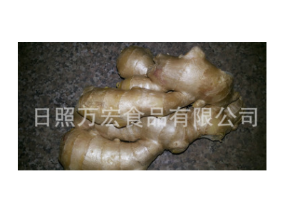 生产工厂供应出口生姜，风干姜，保鲜姜。图2