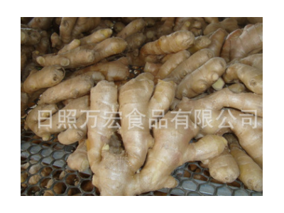 生产工厂供应出口生姜，风干姜，保鲜姜。图5