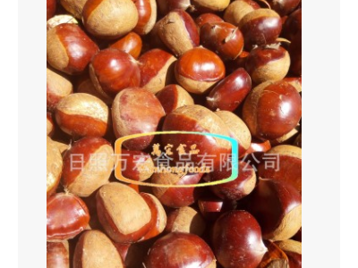 出口保鲜板栗图1