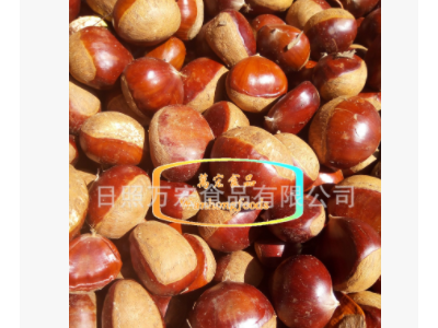出口保鲜板栗图5