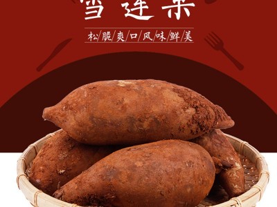 雪莲果图1