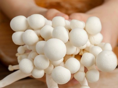 食用海鲜菇 新鲜菌菇类 火锅食材 新鲜蔬菜 零售批发 产地直供图5