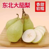 东北茄梨大头梨 新鲜水果梨当季梨软香现摘大果青梨子整箱梨子