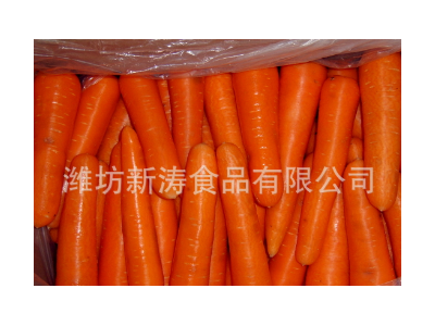 保鲜胡萝卜（出口）图1