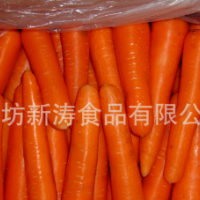 保鲜胡萝卜（出口）