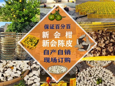正宗新会柑、新会陈皮批发图1
