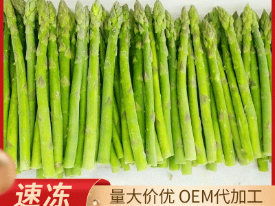 山东厂家供应速冻芦笋 速冻绿芦笋条 冷冻芦笋段 速冻白芦笋批发图3