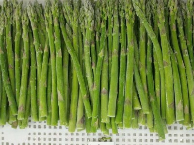 山东厂家供应速冻芦笋 速冻绿芦笋条 冷冻芦笋段 速冻白芦笋批发图4