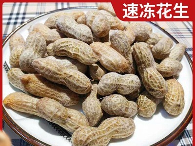 山东厂家速冻花生 速冻带壳花生 酒店餐厅冷冻蔬菜批发冷冻花生图1