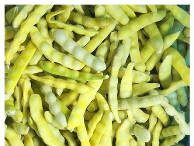 山东现货供应速冻黄豆角 速冻黄金钩 冷冻豆角冷冻黄金勾速冻食品图5