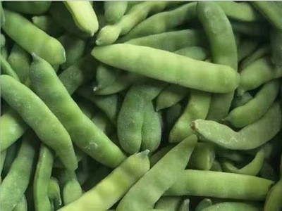 速冻油豆角批发 山东厂家供应速冻油豆角 冷冻蔬菜冷冻新鲜绿油豆图5