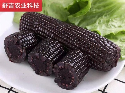 早餐黑玉米真空袋装代餐非转基因黑苞米家用粘糯新鲜五谷黑苞米棒图1