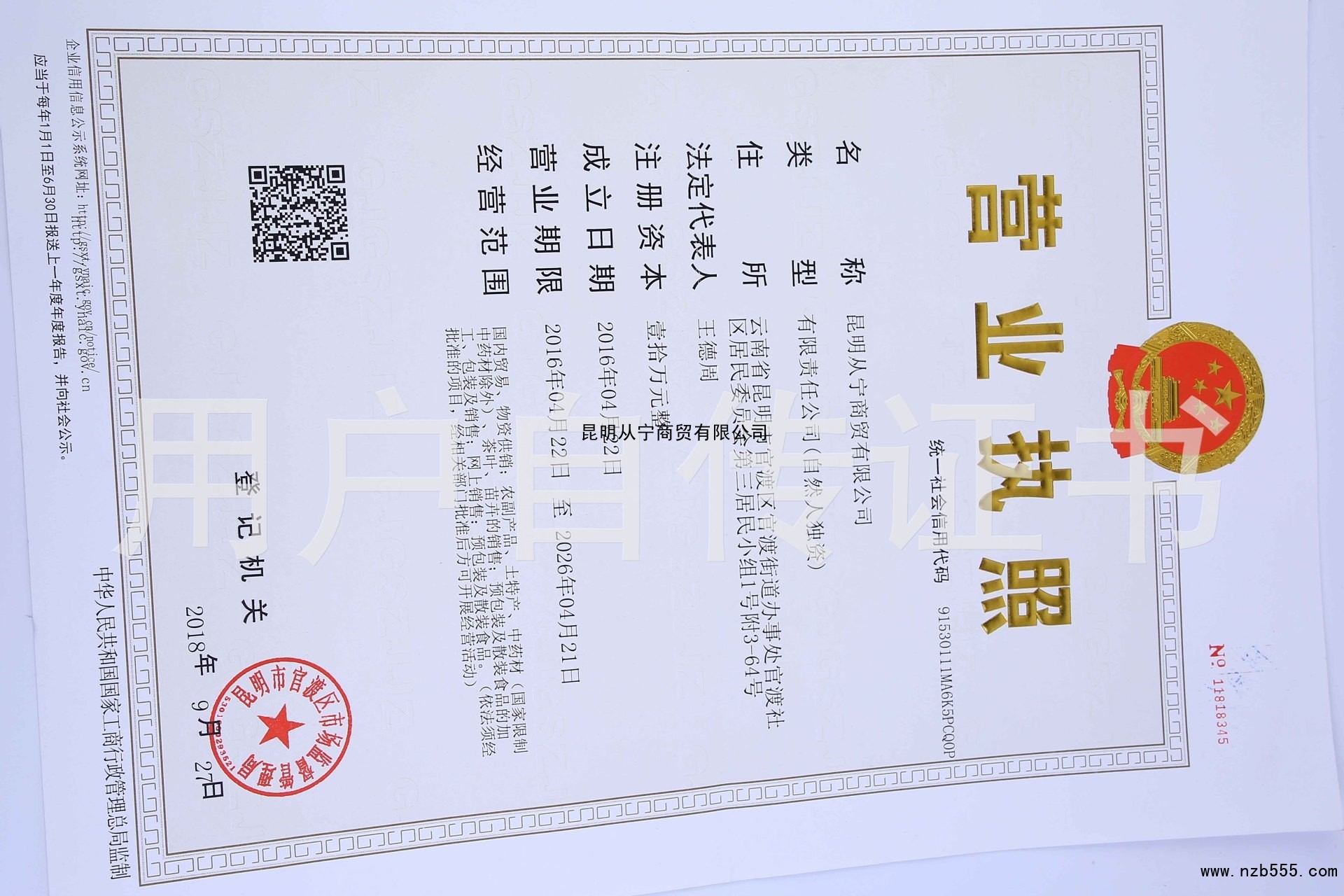 昆明从宁商贸有限公司