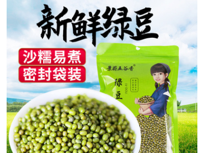 景蔚五谷香绿豆汤粥绿豆350g新鲜农家绿豆颗粒饱满肉多皮薄图1