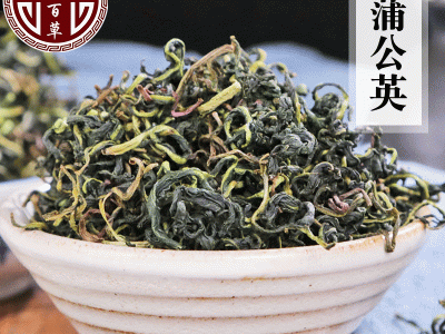 长白山新货水洗蒲公英茶散装婆婆丁茶批发蒲公英茶图2