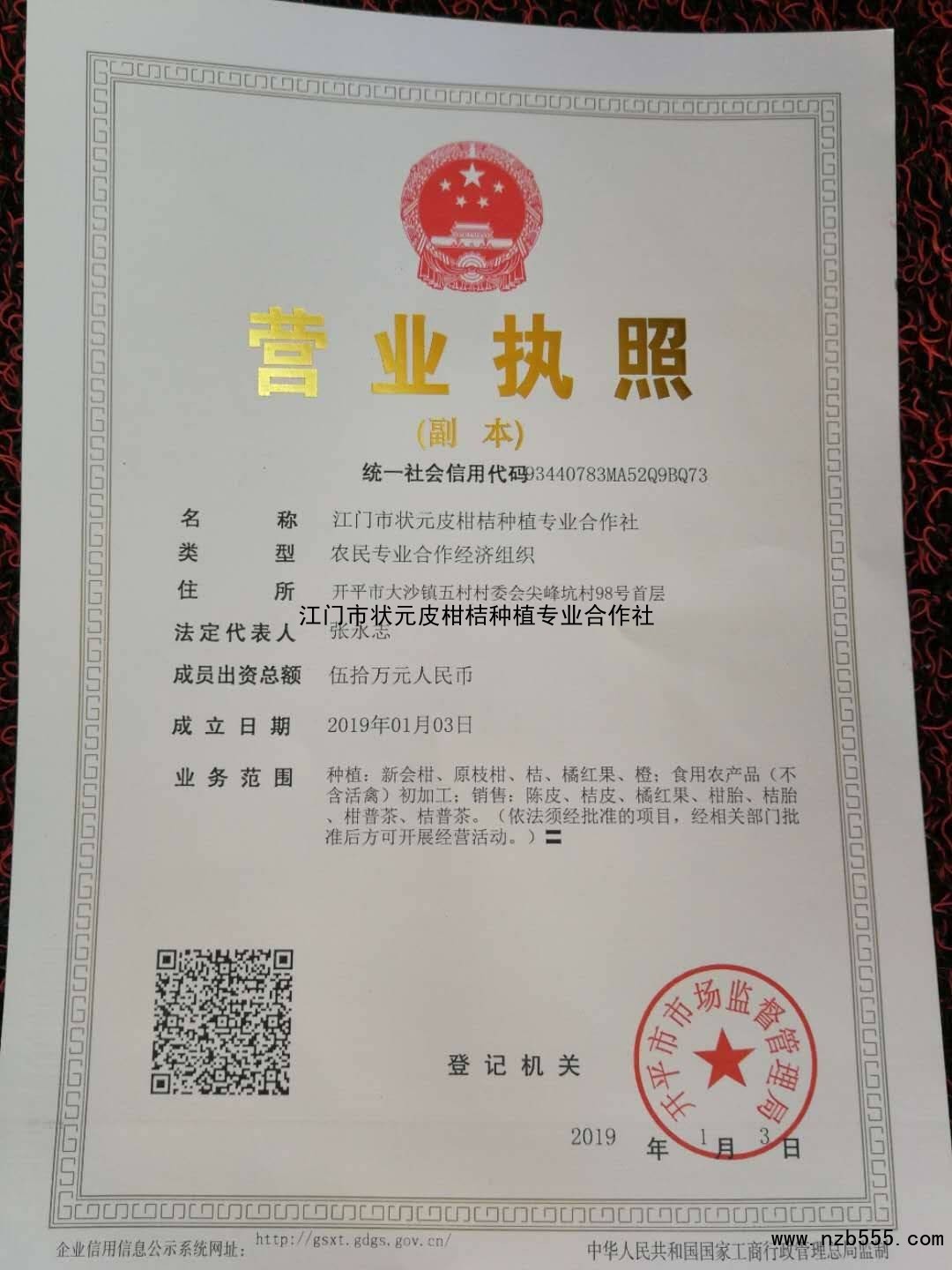 江门市状元皮柑桔种植专业合作社