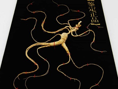 产地直销东北特产长白山人参50cm林下籽礼盒人参会销礼品泡酒参图4