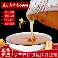 枣花蜂蜜 厂家供应 500g/瓶 瓶装.散装批发蜂蜜 源头厂家