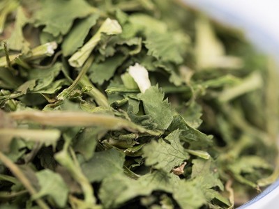 脱水蔬菜香菜叶 拌面泡面配菜香菜干香菜碎 新鲜脱水香菜叶批发厂图2