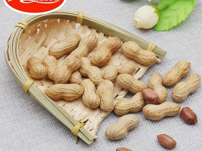 沙土小花生258g奶油味脆壳mini花生坚果炒货休闲零食厂家直销批发图3