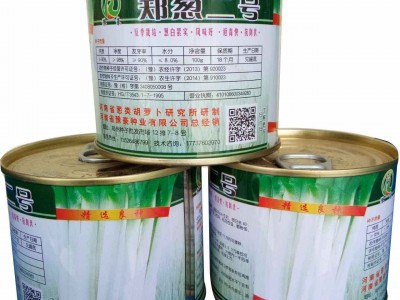 耐寒 抗病性强 大葱种子 反季节蔬菜种子 郑葱二号 100克图1