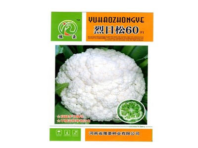 厂家批发基地用早熟品种耐暑免盖烈日松60蔬菜种子松花菜种子图1